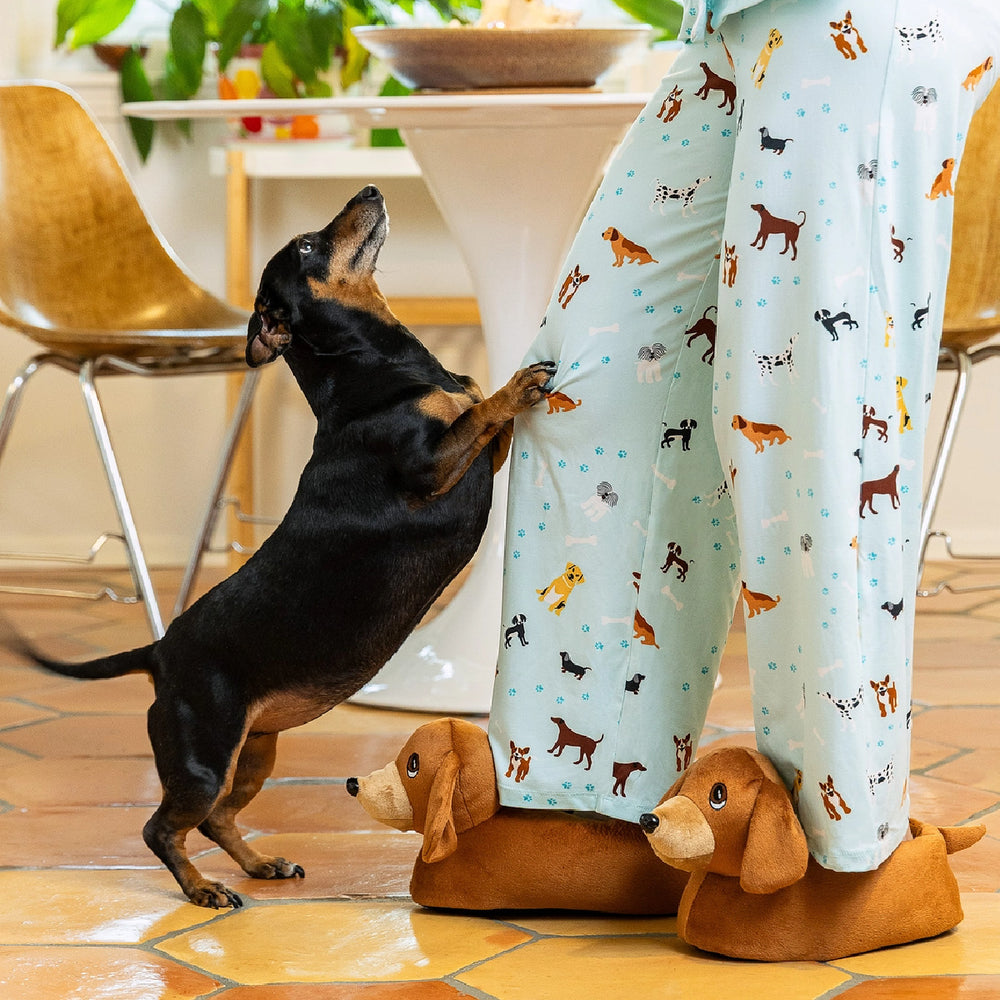 Dachshund climbing on model wearing mint green dog print pajama pants with all-over pup design